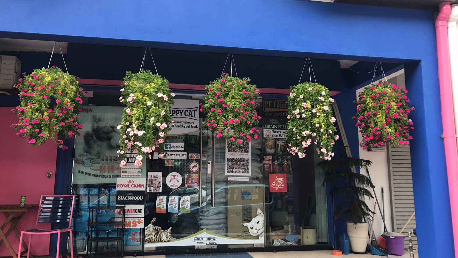 Wet Nose Pet Shop 4