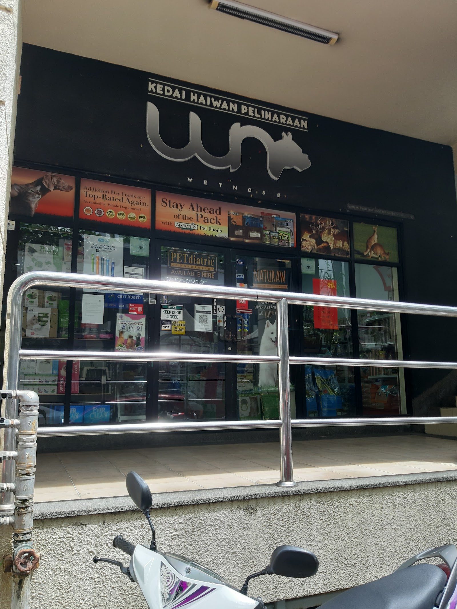Wet Nose Pet Shop 7